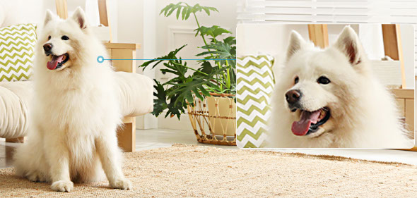 Inteligencia Artificial EZVIZ C6